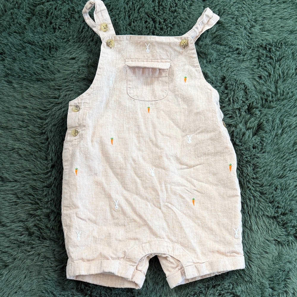 Janie and Jack Overalls with Embroidered Bunnies and Carrots